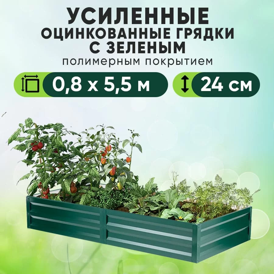 Зеленая усиленная грядка (0,8 х 5,5)